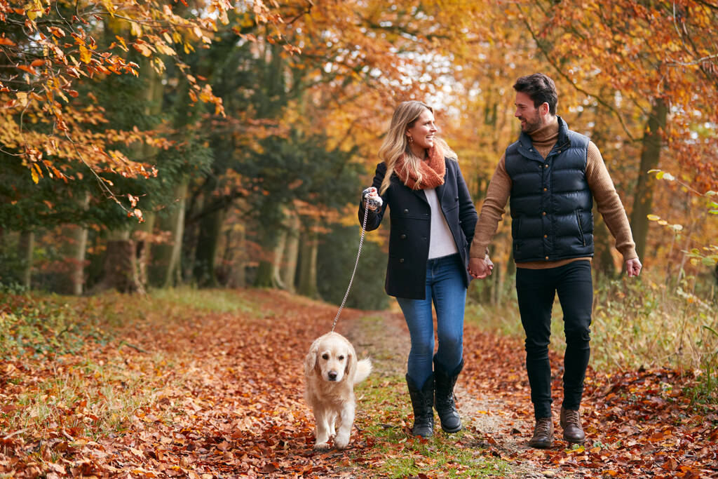Rakastava pari kävely lemmikkieläinten kultainen noutaja koira pitkin syksyn Woodland polku puiden läpi - Valokuva, kuva