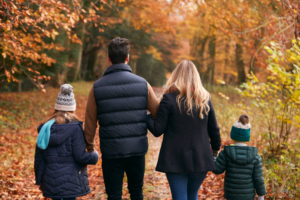 Tylny widok rodziny chodzącej ramię w ramię wzdłuż jesiennej ścieżki leśnej razem - Zdjęcie, obraz