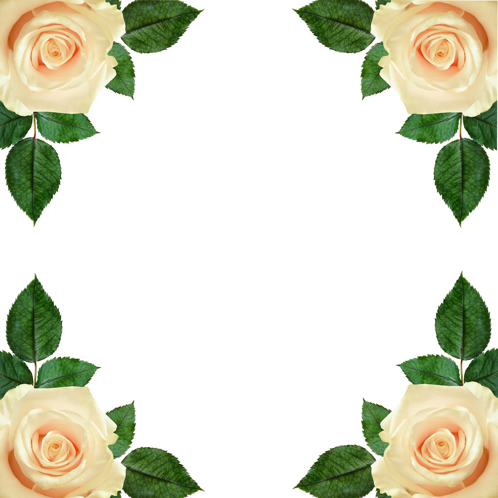 	Rose flowers arrangement  - Photo, Image