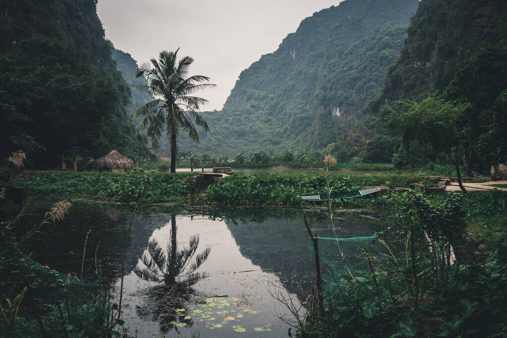 Palmu heijastus järvessä taustalla kivinen kukkuloilla. Ninh Binh, Vietnam - Valokuva, kuva