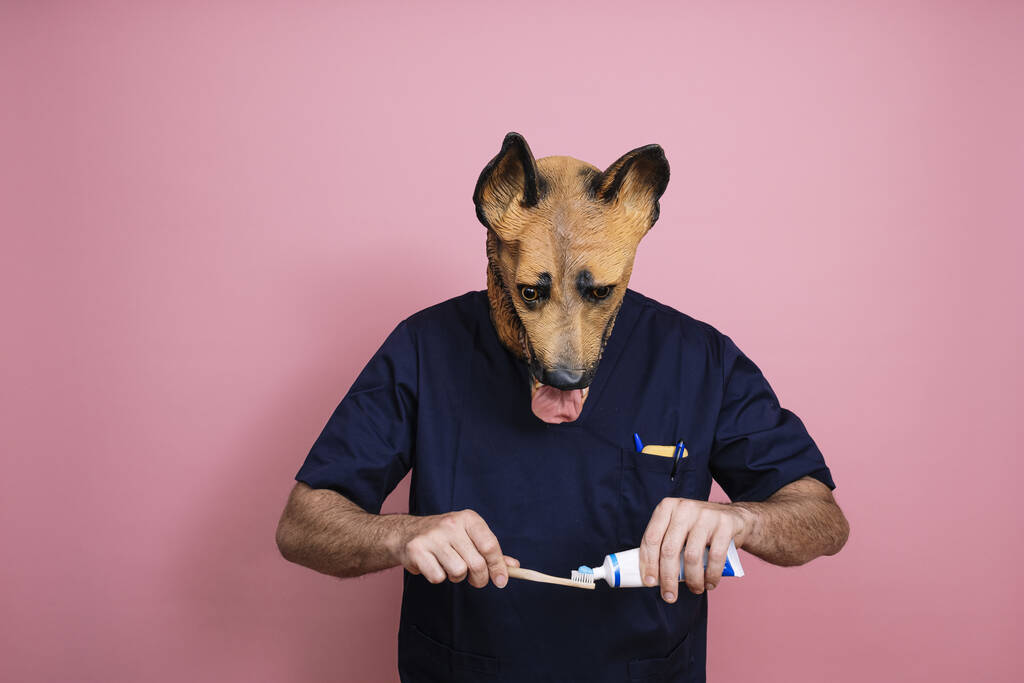 Młody mężczyzna w lateksowej masce na głowie psa trzymający szczoteczkę do zębów i pastę do zębów na różowym tle - Zdjęcie, obraz