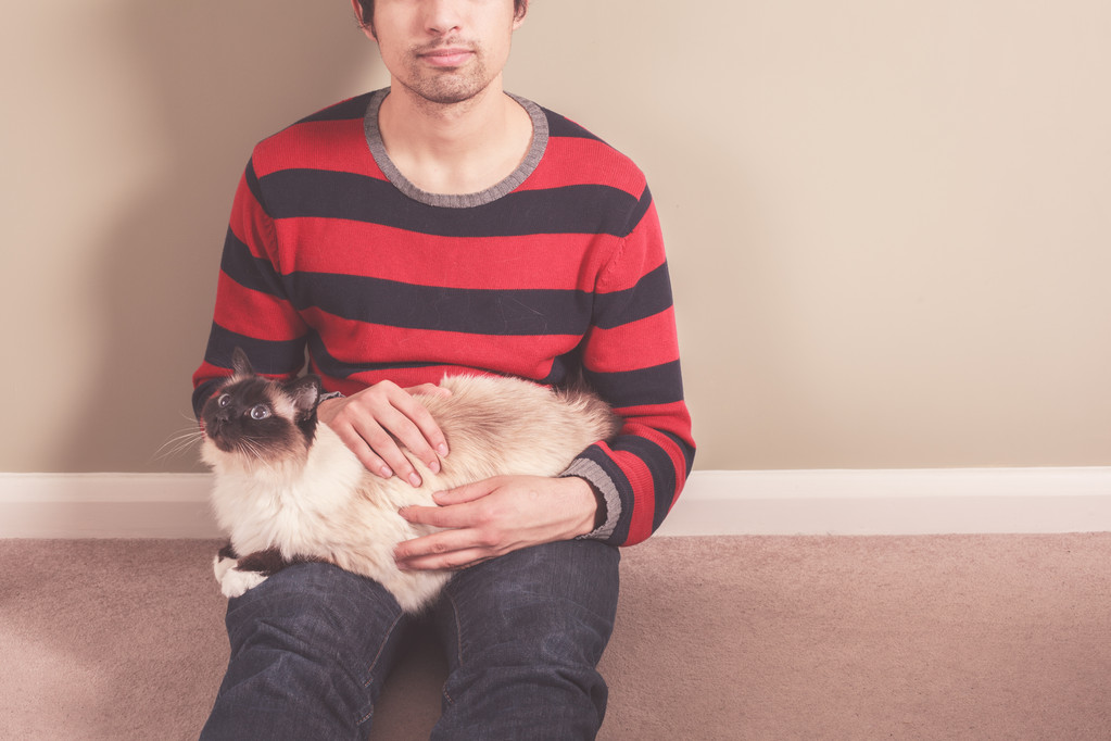 Giovane uomo e gatto seduto sul pavimento
 - Foto, immagini