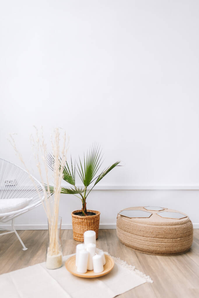 Palma in un vaso e rattan elementi decorativi. Eco-friendly interior design del soggiorno in casa moderna. - Foto, immagini