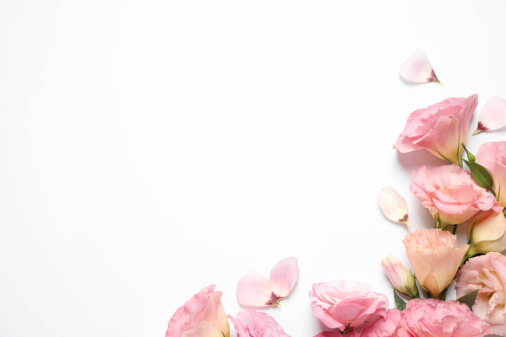 Hermosas flores de Eustoma sobre fondo blanco, vista superior. Espacio para texto - Foto, imagen