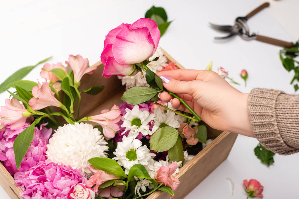 rajattu näkymä nainen tilalla vaaleanpunaisia kukkia lähellä puinen laatikko valkoinen - Valokuva, kuva