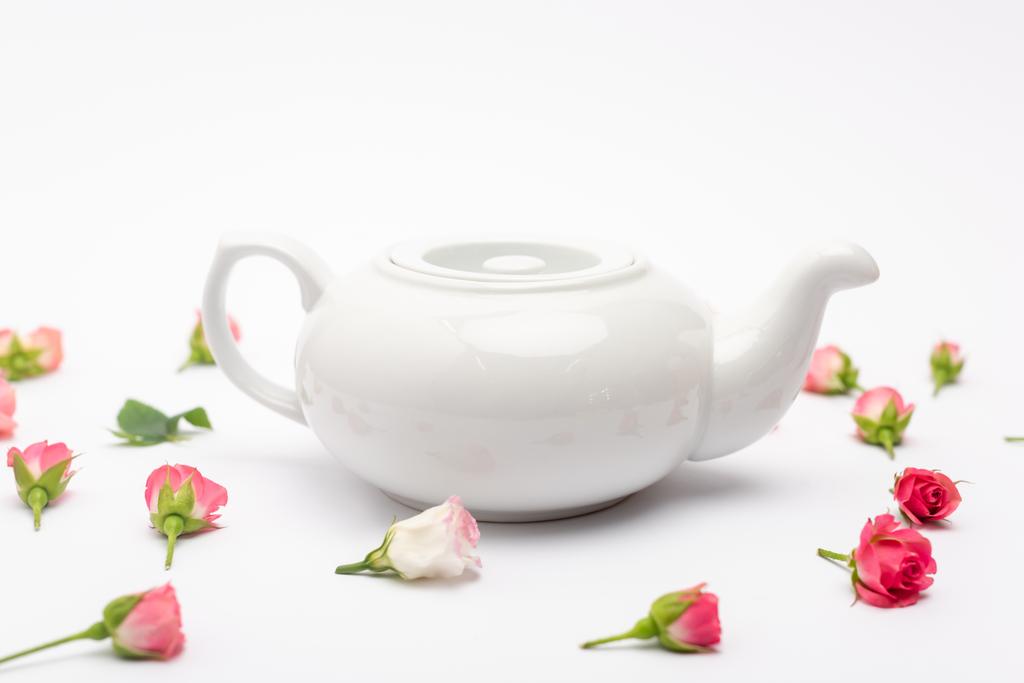 porcelain teapot near pink tea roses on white - Photo, Image