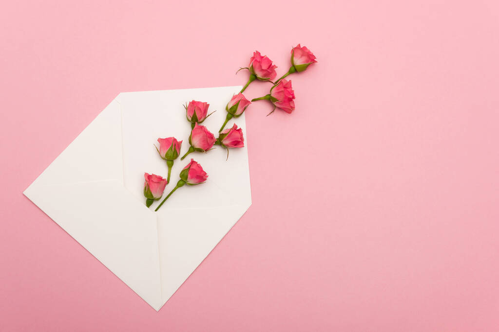 bovenaanzicht van kleine thee rozen in witte envelop geïsoleerd op roze - Foto, afbeelding