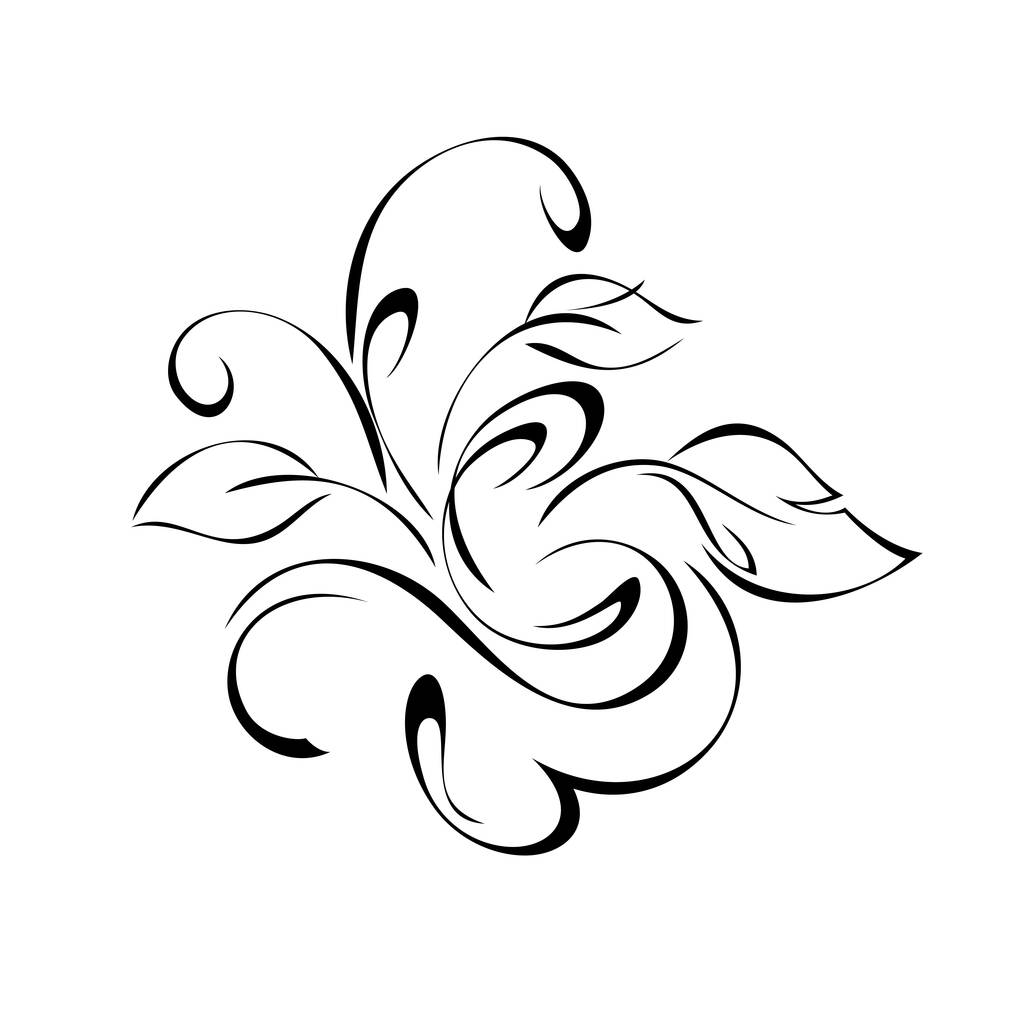 decoratief element met krullen en bladeren in zwarte lijnen op witte achtergrond - Vector, afbeelding