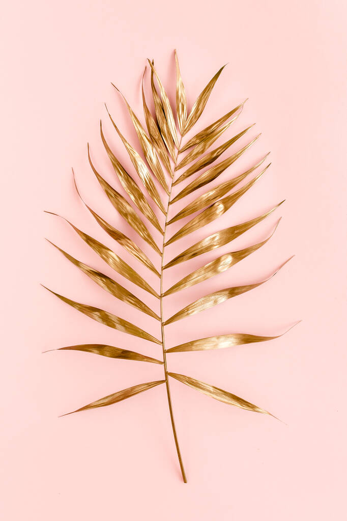 ピンクの背景に金の熱帯のヤシの葉。フラットレイアウト、トップビュー最小限のコンセプト. - 写真・画像
