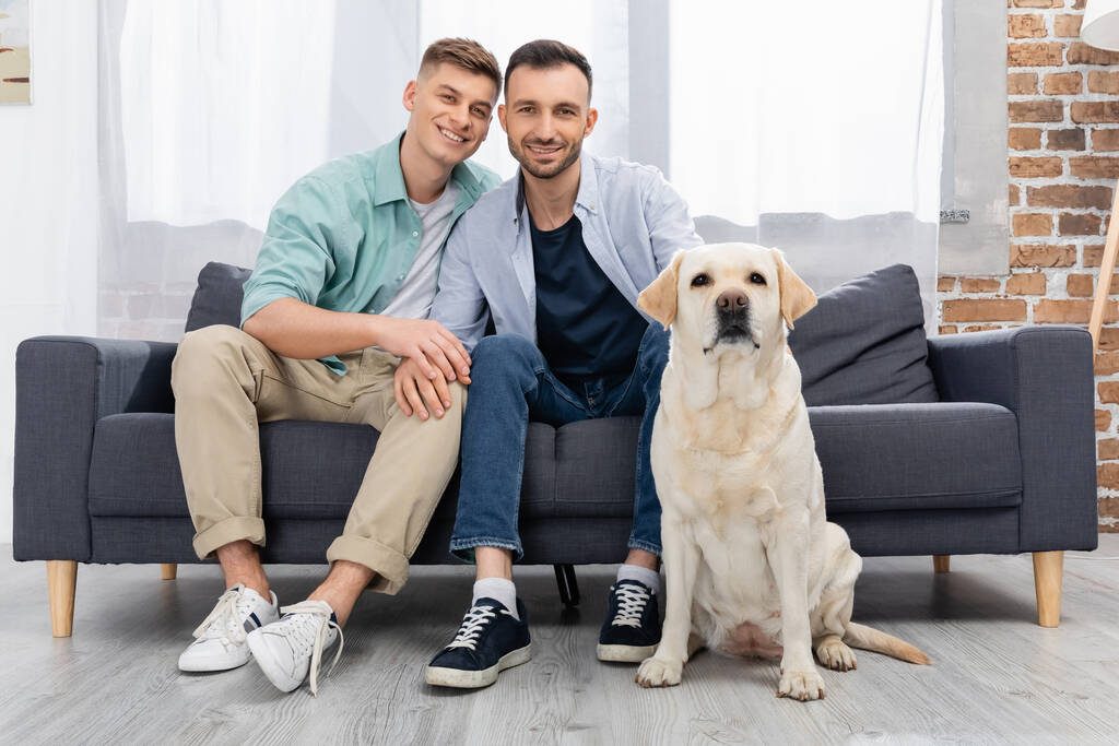 same sex couple sitting on sofa near dog in living room - Photo, Image