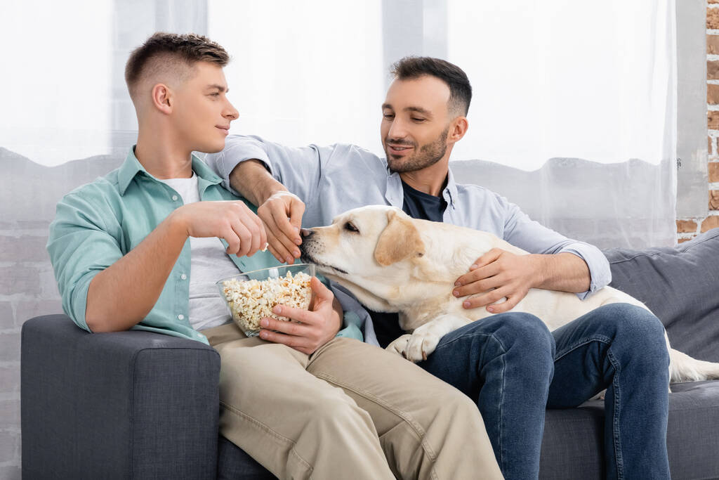 fröhlicher Mann hält Schale mit Popcorn in der Hand und schaut Ehemann mit Hund an - Foto, Bild