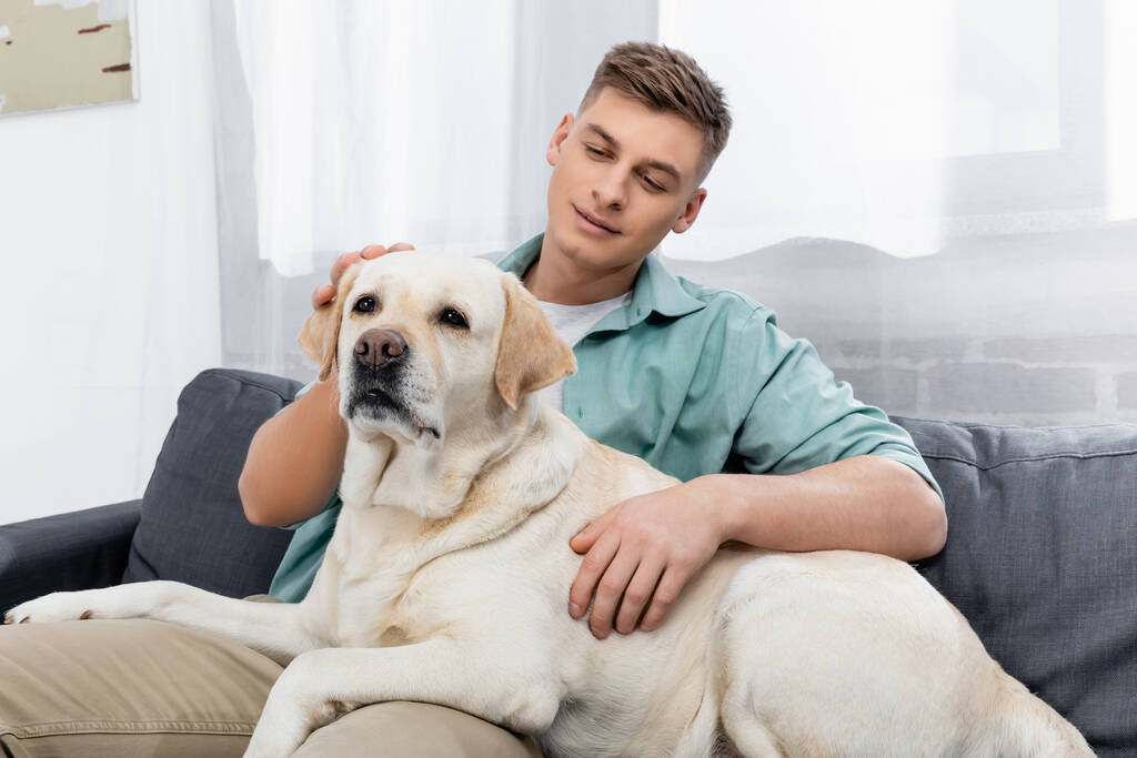 tyytyväinen mies istuu sohvalla ja halailu labrador - Valokuva, kuva