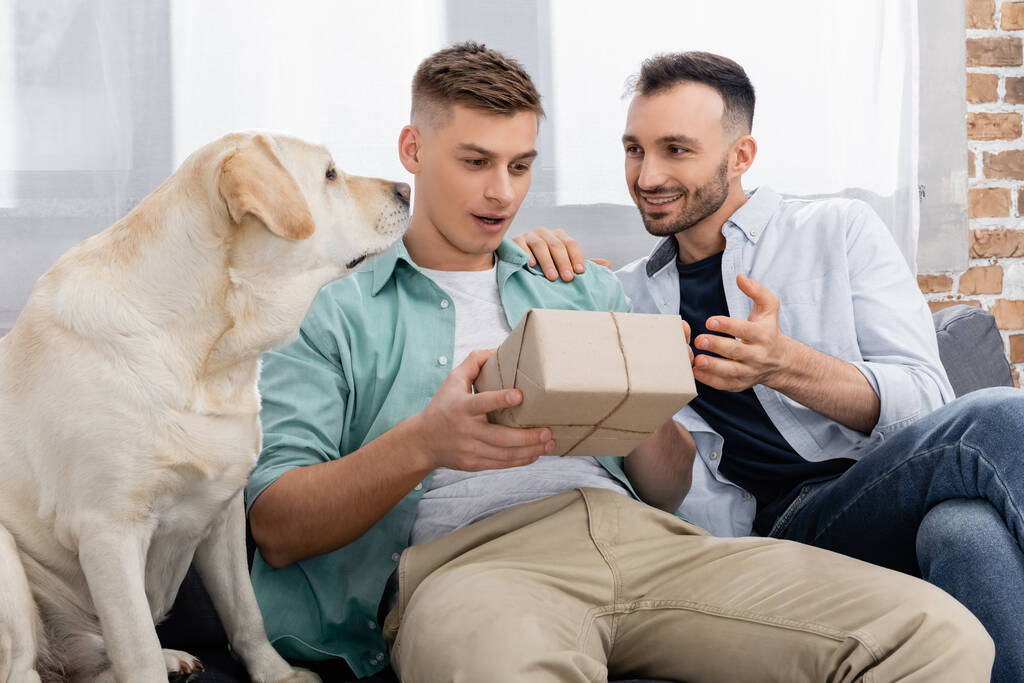 asombrado hombre mirando valentines presente cerca homosexual marido y perro - Foto, imagen