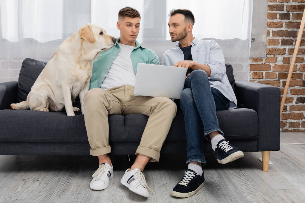 mismo sexo pareja viendo película en portátil cerca de perro en sala de estar - Foto, imagen