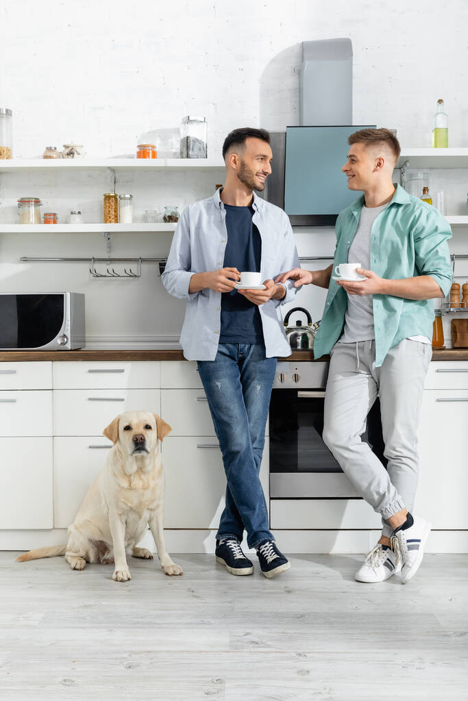 повна довжина веселих гомосексуальних чоловіків тримає чашки і стоїть біля собаки на кухні
  - Фото, зображення