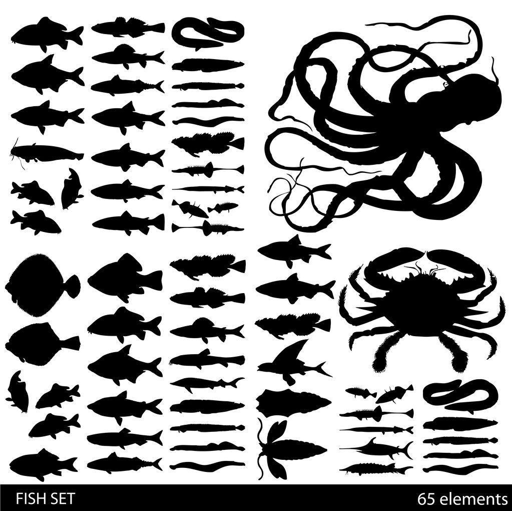 Pescado, conchas y mariscos - variedad de ilustraciones vintage detalladas
 - Vector, Imagen