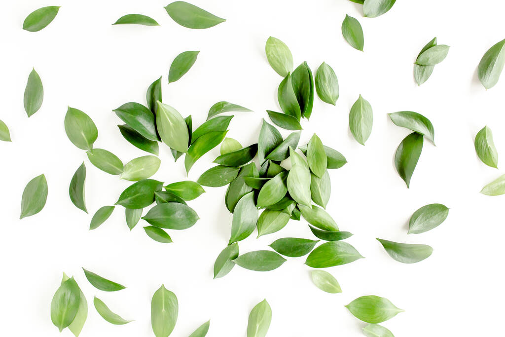 Muster, Textur mit grünen Blättern isoliert auf weißem Hintergrund. flach liegend, von oben gesehen - Foto, Bild