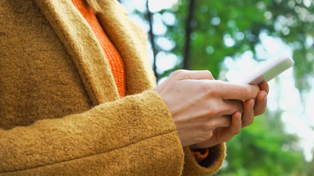 обрезанный вид женского чата на мобильном телефоне в осеннем парке - Фото, изображение