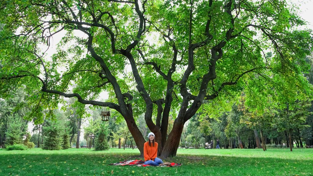Genç bir kadın sonbahar parkında büyük bir ağacın altında ekose battaniyede oturuyor. - Fotoğraf, Görsel