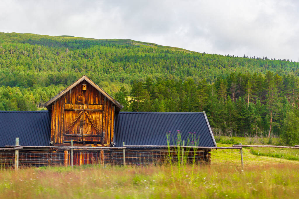 Góry i lasy z domami na zielonych łąkach norweskiego krajobrazu Park Narodowy Jotunheimen Norwegia. - Zdjęcie, obraz