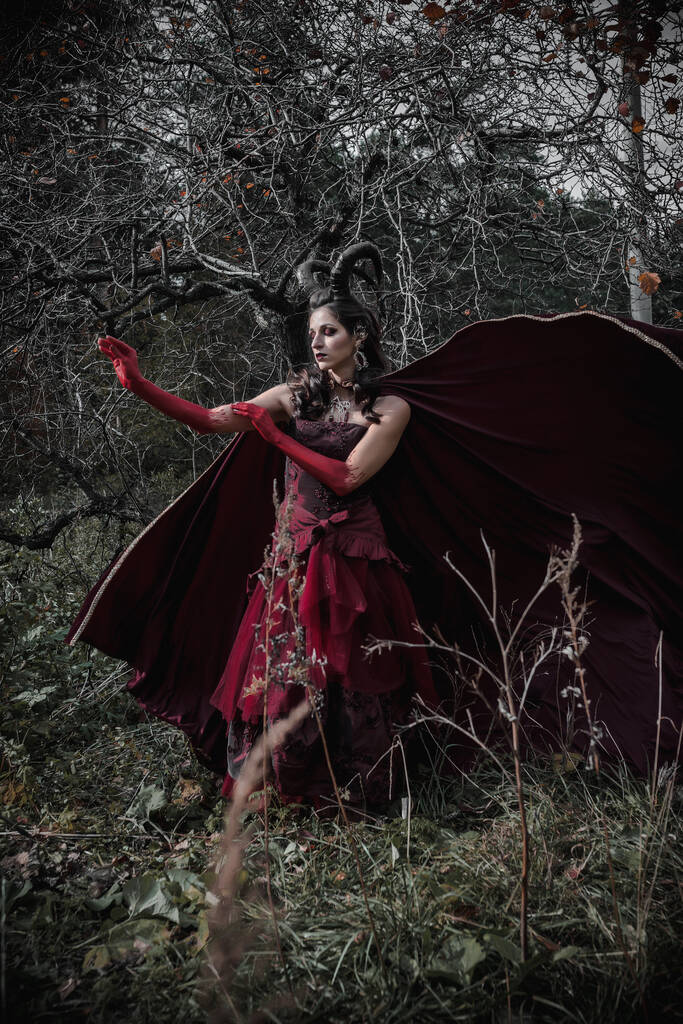 森の中の暗い妖精 - 写真・画像