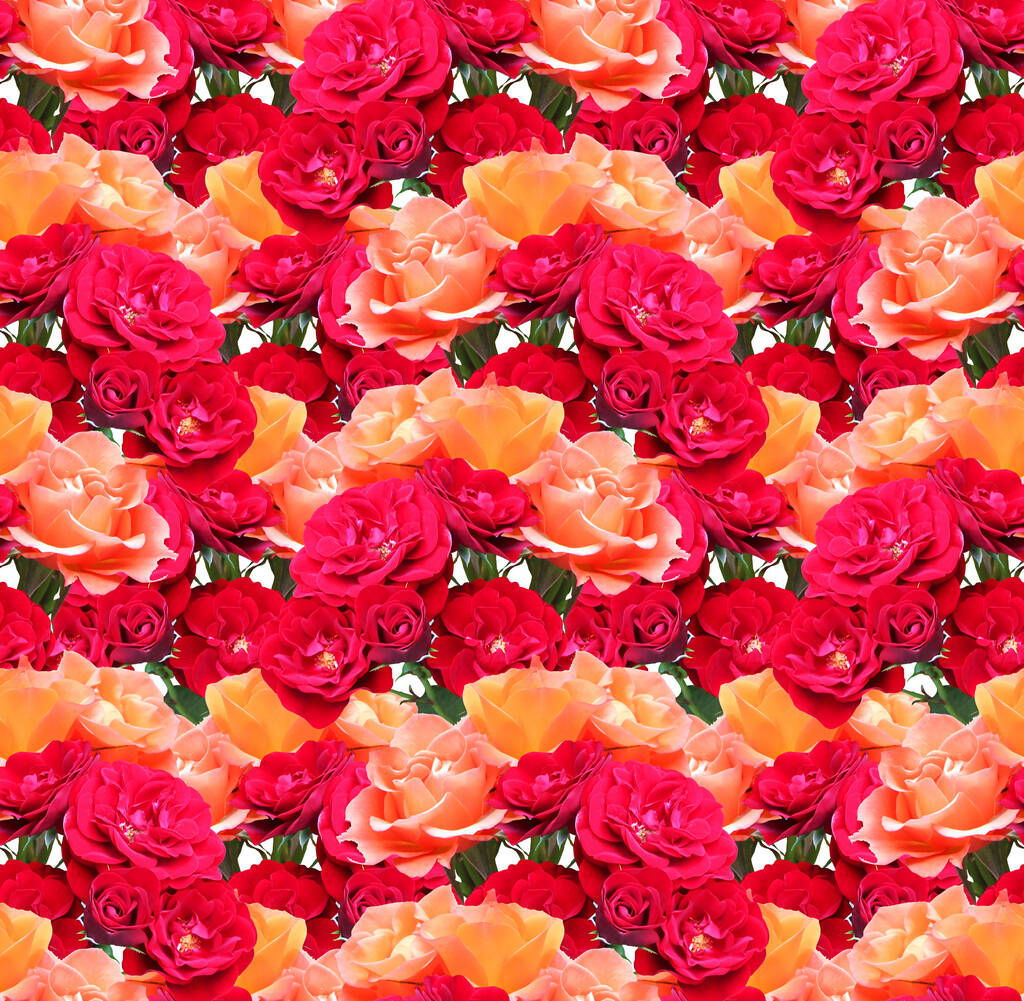 Elegantní bezešvý vzor s růžovými květy, designové prvky. Květinový vzor pro pozvánky, blahopřání, scrapbooking, tisk, dárkový obal, výroba, textil  - Fotografie, Obrázek