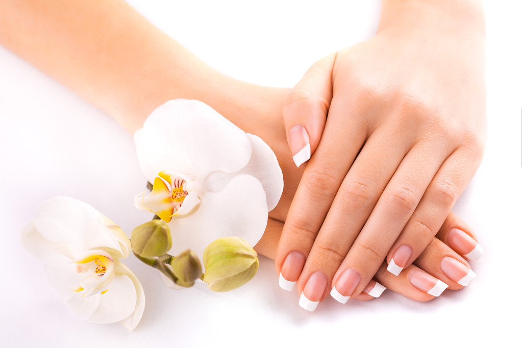 piękny french manicure z Biała orchidea na biały - Zdjęcie, obraz