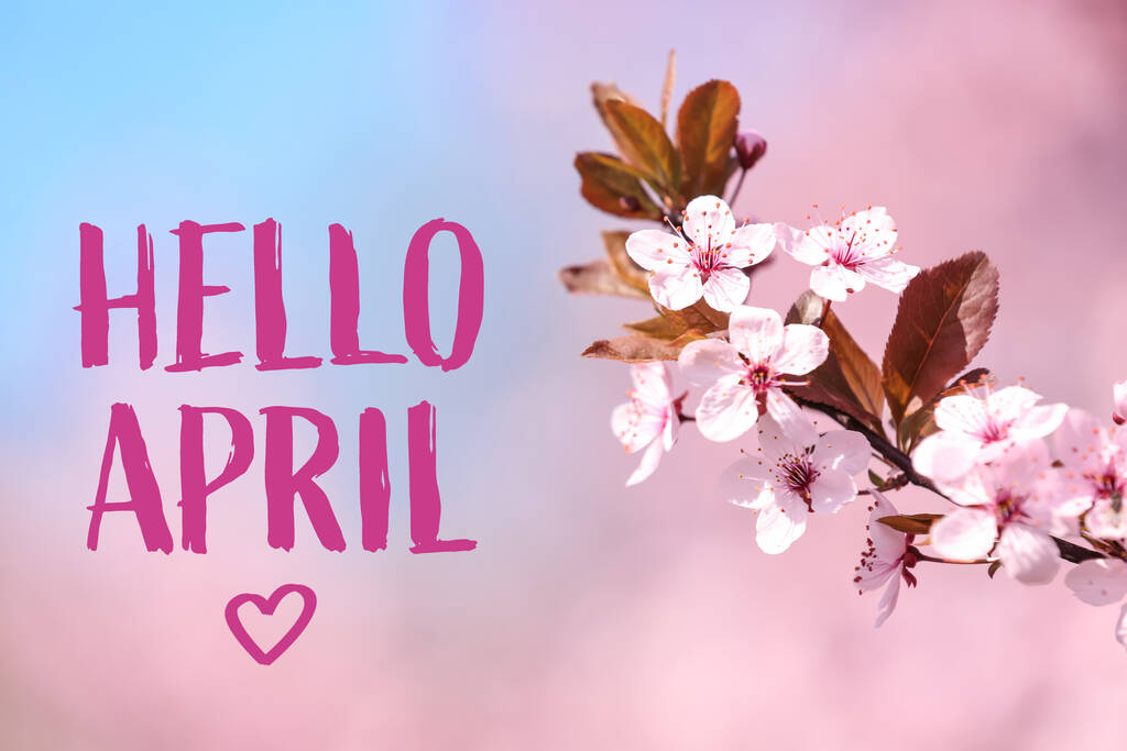 Olá April. Ramo de árvore de primavera florescente com flores minúsculas no fundo de cor - Foto, Imagem