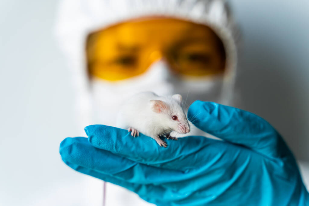 El científico sostiene un ratón blanco de laboratorio en su mano. SARS-CoV-2, Chinas Nuevo concepto de desarrollo y pruebas de vacunas contra el Coronavirus - Foto, imagen