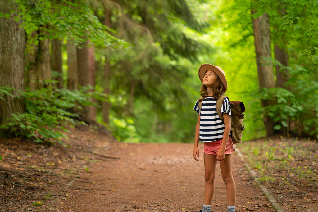 Turist kız ulusal parkta sırt çantasıyla gezmekten hoşlanıyor. Mutlu çocuk yazın ormanda yürüyor. Etkin yaşam tarzı kavramı - Fotoğraf, Görsel