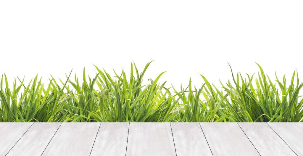 taras tablice i świeża trawa zielona, granicy, na białym tle - Zdjęcie, obraz