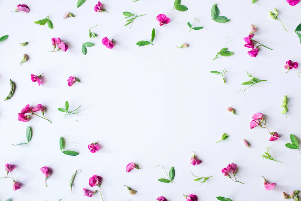 Σύνθεση λουλουδιών. Σκελετός από ροζ λουλούδια και φύλλα σε λευκό φόντο. Άνοιξη, Πάσχα, καλοκαιρινή ιδέα. Επίπεδο lay, πάνω όψη, αντιγραφή χώρου  - Φωτογραφία, εικόνα