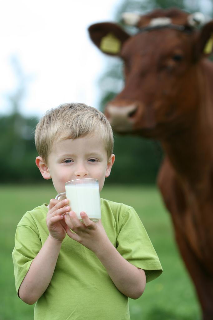 Drinking milk - Photo, Image