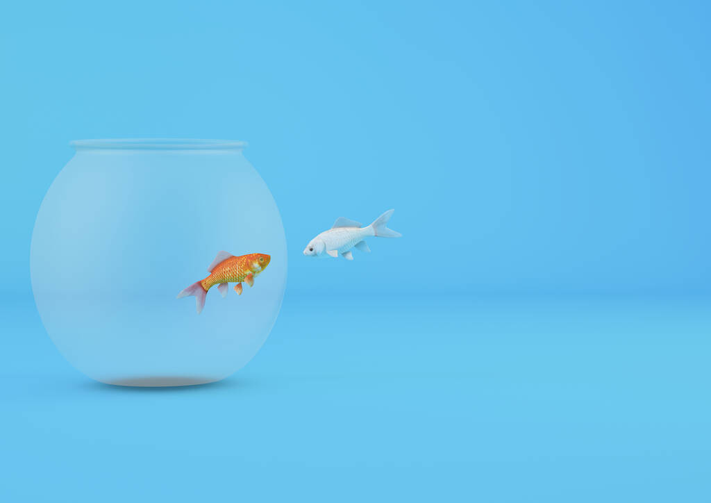 Eine 3D-Darstellung von Fischen, die einem Goldfisch in einem kleinen Aquarium begegnen, isoliert auf blauem Hintergrund - Foto, Bild