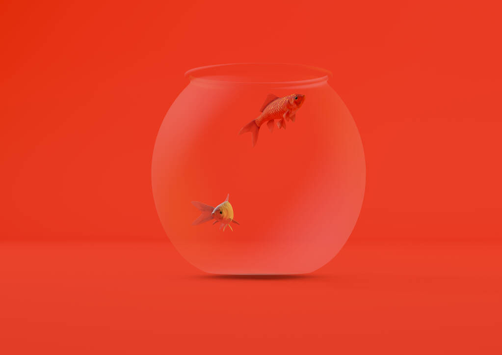 赤地に孤立した小さな円形水族館での金魚の3Dレンダリング - 写真・画像
