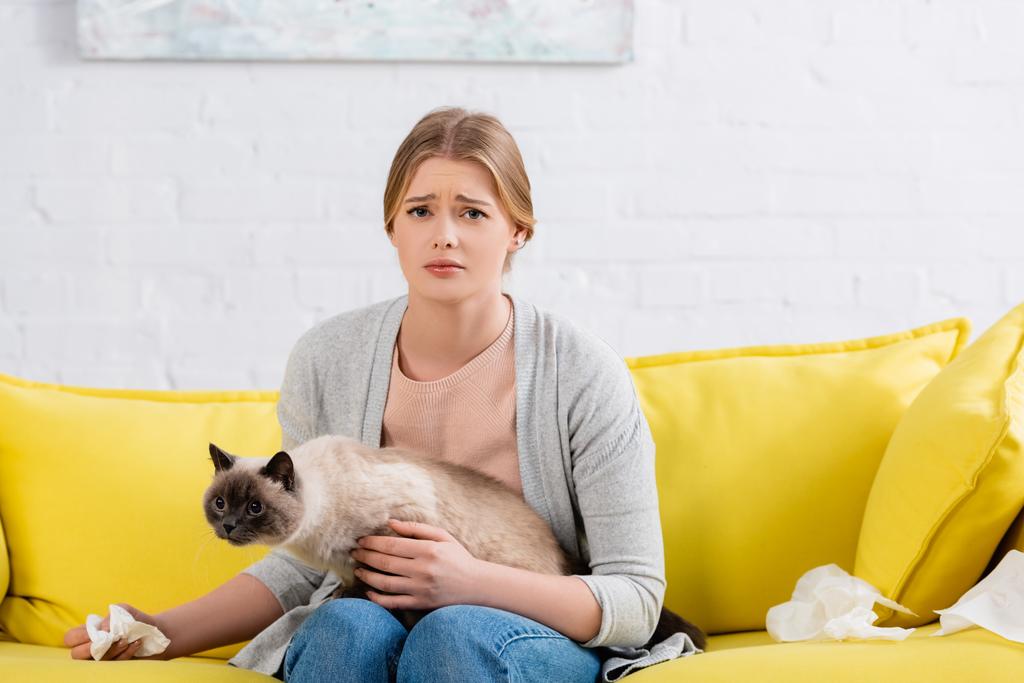 Zdenerwowana kobieta trzyma serwetkę i syjamskiego kota na kanapie  - Zdjęcie, obraz
