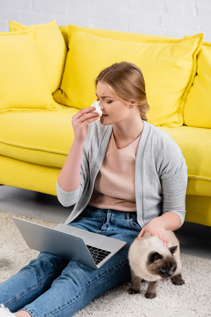 Freelancer guardando guardanapo perto de laptop e gato durante a alergia  - Foto, Imagem