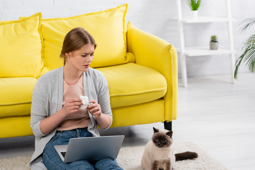 Triste freelancer sosteniendo la servilleta durante la alergia y mirando al gato siamés en la alfombra  - Foto, imagen