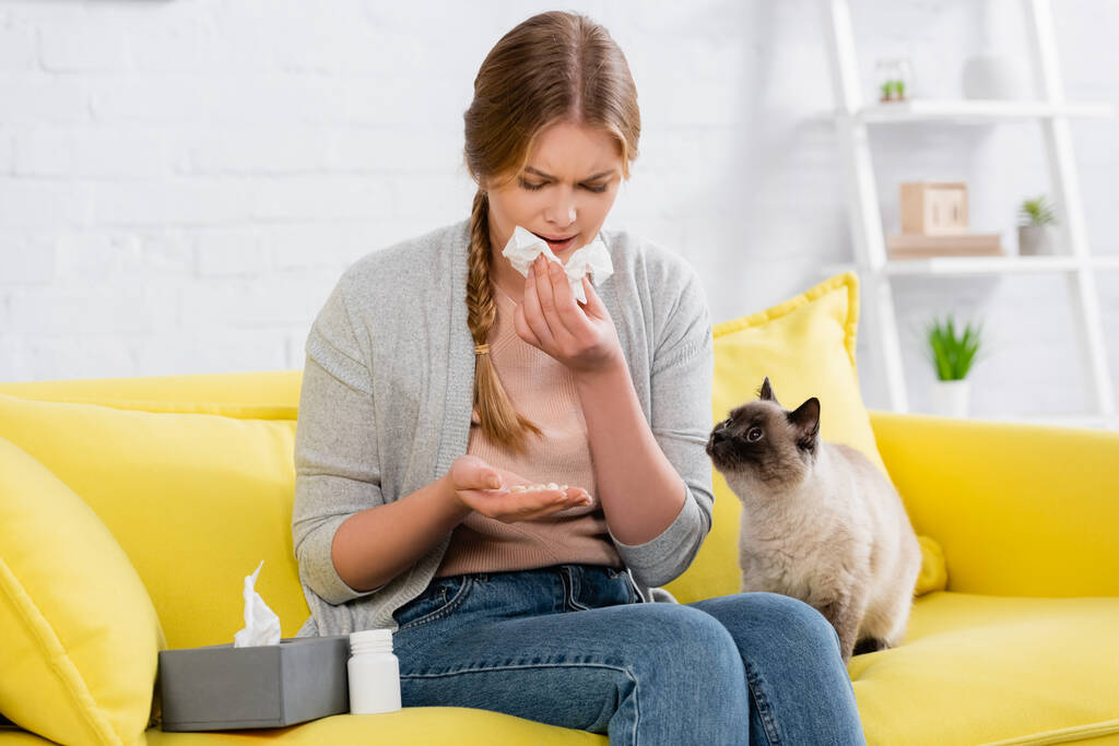 Verontrustende vrouw met servet op zoek naar pillen tijdens allergie in de buurt van siamese kat op de bank  - Foto, afbeelding