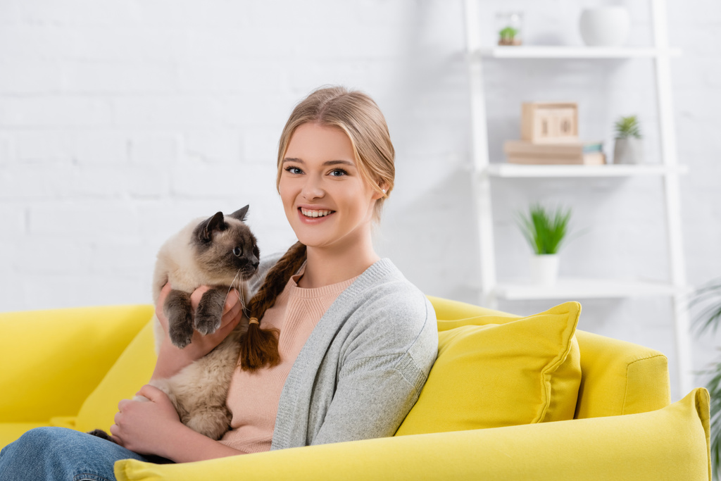 Happy woman holding furry siamese cat and looking at camera on yellow couch  - Photo, Image
