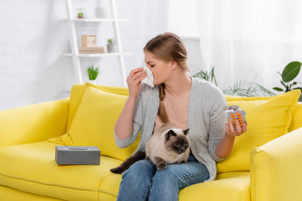 Woman with allergy holding pills and napkin near furry siamese cat on yellow sofa  - Photo, Image