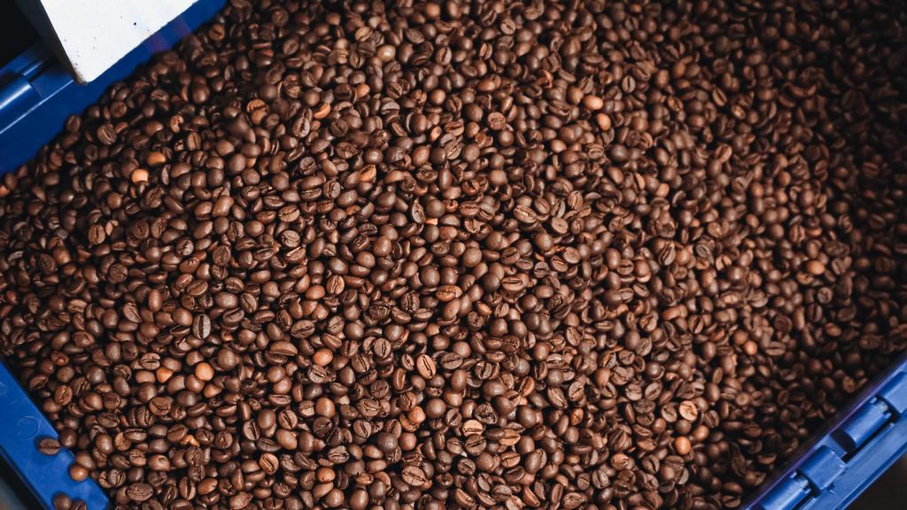 vista de ángulo alto de granos de café tostados en contenedor - Foto, imagen