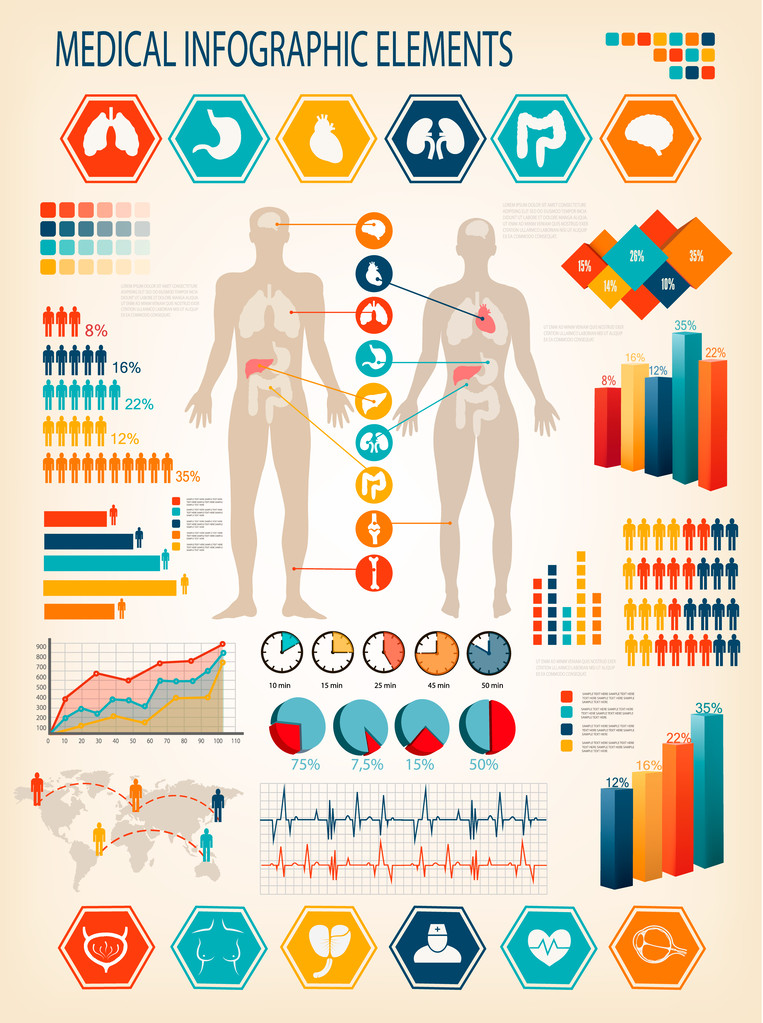orvosi infographics elemek. emberi test a belső szervek.  - Vektor, kép