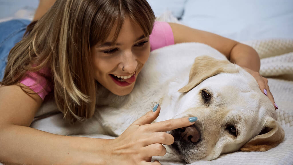 щаслива молода жінка торкається носа золотошукача собаки на ліжку
 - Фото, зображення