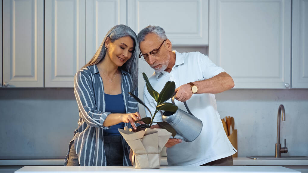 anciano hombre riego planta cerca feliz asiático mujer en cocina - Foto, imagen