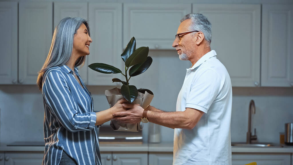 幸せなアジアの妻に植物を与える灰色の髪の男の側面図 - 写真・画像