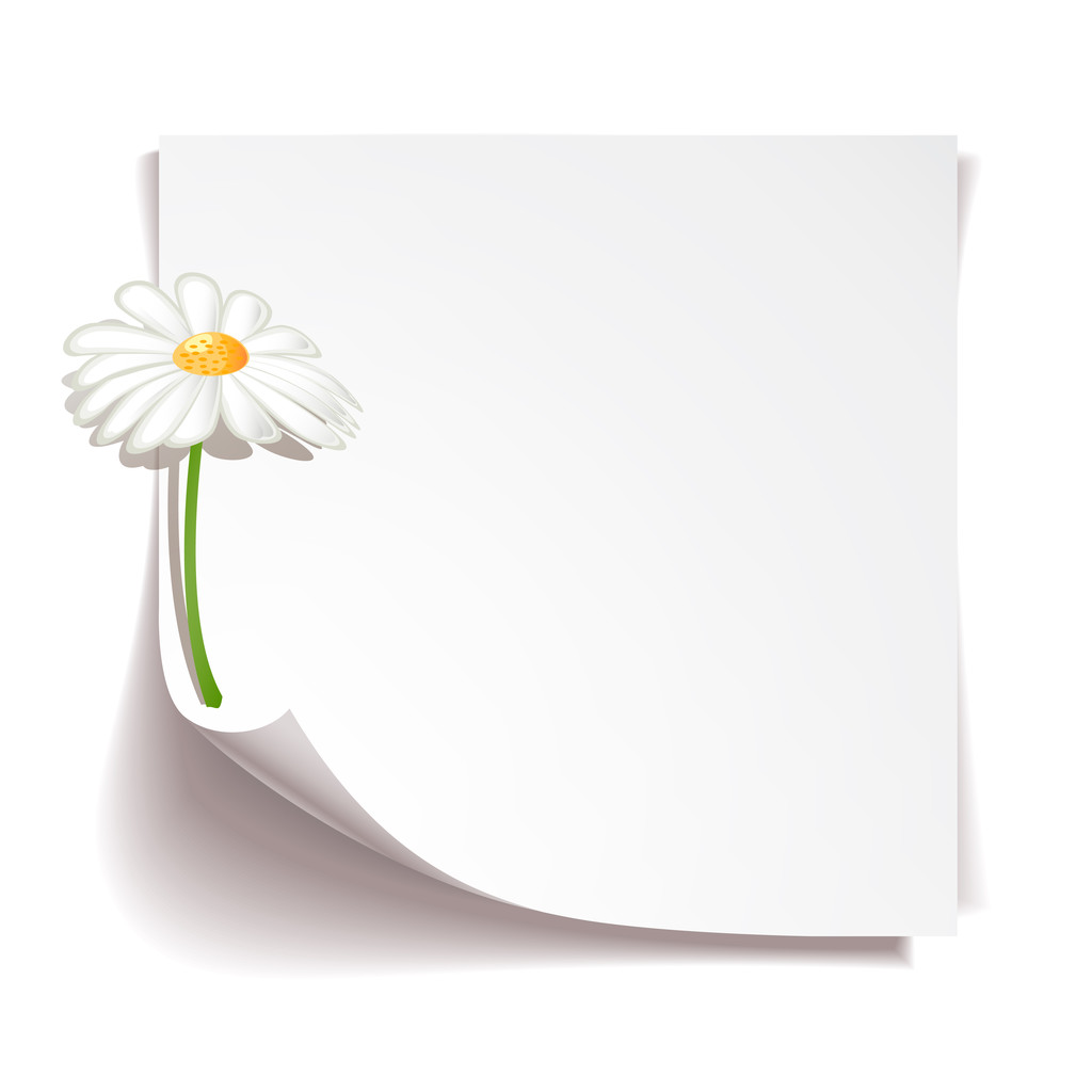 Papel blanco palo nota con flor de manzanilla sobre fondo blanco
 - Vector, imagen