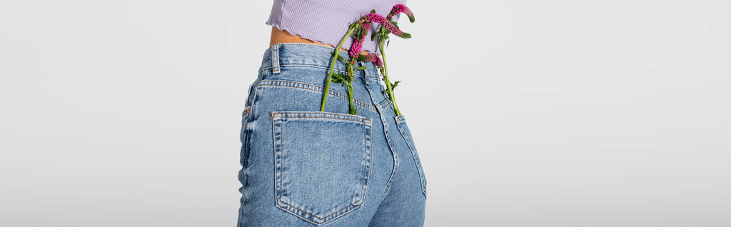 частковий вигляд молодої жінки в джинсах з квітами люпину в кишенях позує ізольовано на білому фоні, банер
 - Фото, зображення