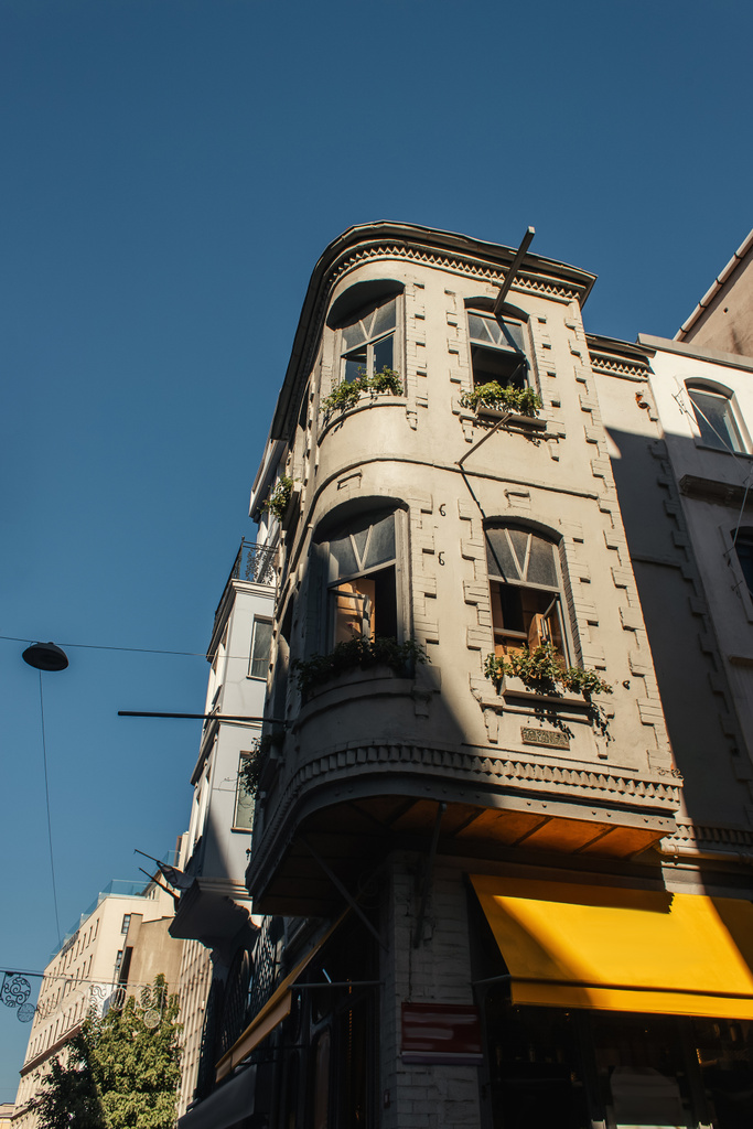 Low angle view of plants on facade of building on urban street in Istanbul, Turkey  - Photo, Image