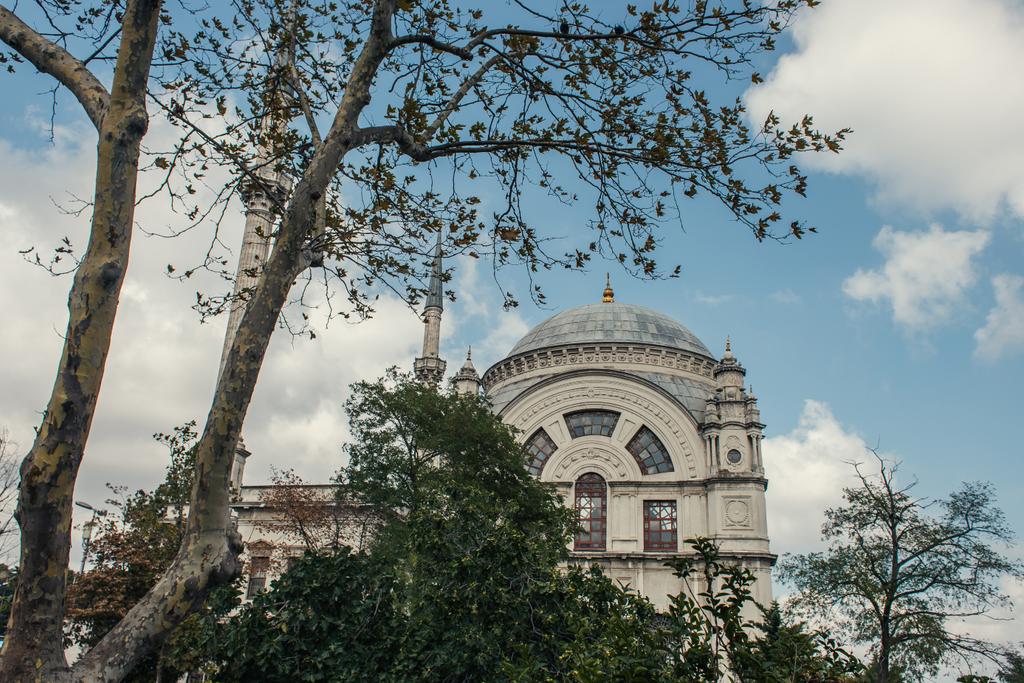 Fák közelében Mihrimah szultán mecset a háttérben, Isztambul, Törökország  - Fotó, kép